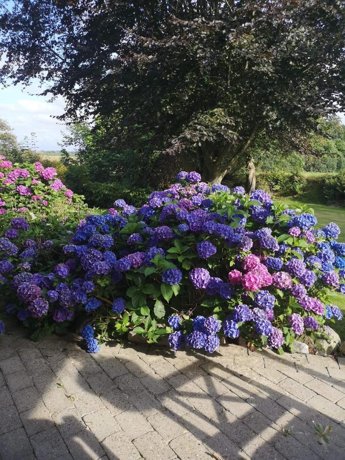 Hvirrekaergaard, Midt I Naturen. 希茨海尔斯 外观 照片